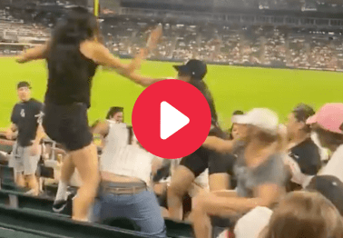 All-Female Fight Breaks Out in White Sox Bleachers