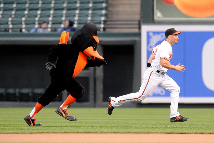The Oriole Bird chases an Orioles player before a game.