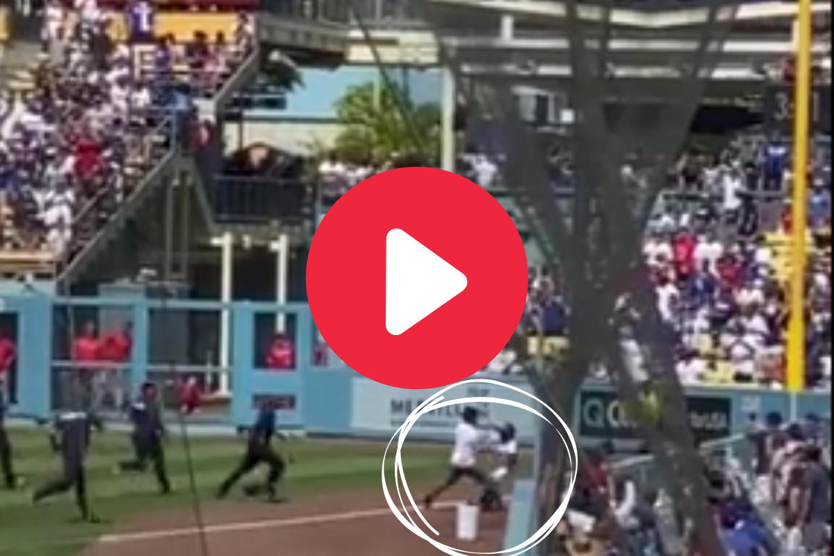Dodgers Ball Girl Tackles Fan Who Ran Onto Field [VIDEO] Fanbuzz