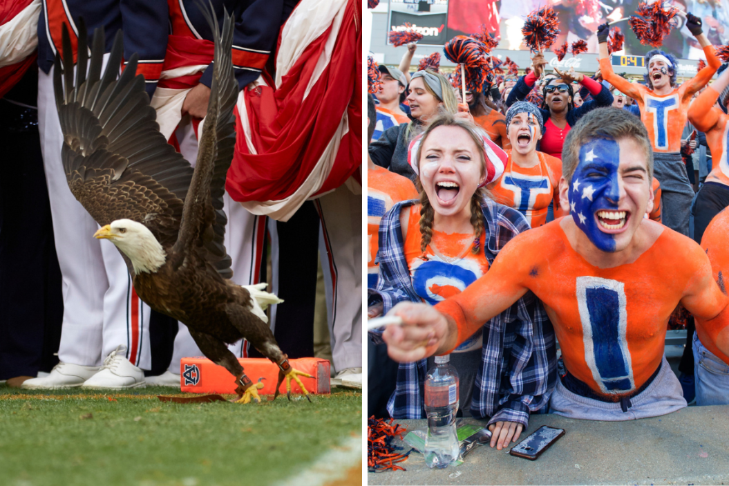 View of bald eagle landing on field after anthem before Auburn vs Alabama game at Jordan-Hare Stadium, Fans of the Auburn Tigers cheer for their team during their game against the Texas A&M Aggies at Jordan-Hare Stadium