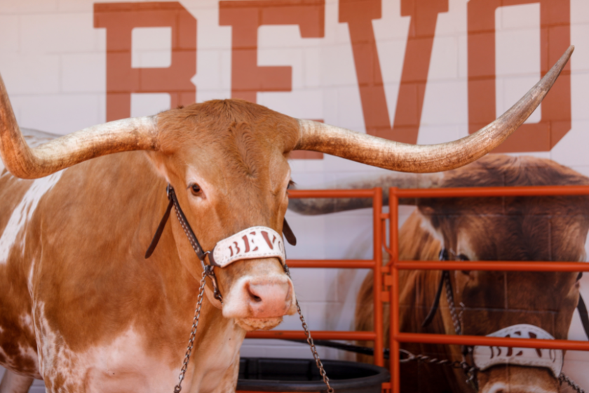 Texas Longhorns mascot Bevo is seen before the game against the Louisiana Ragin' Cajuns