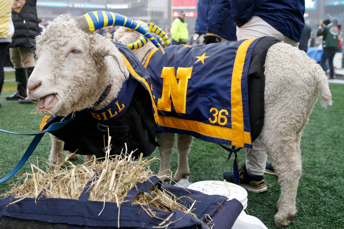 The 17 Best Live Mascots in College Football, Ranked
