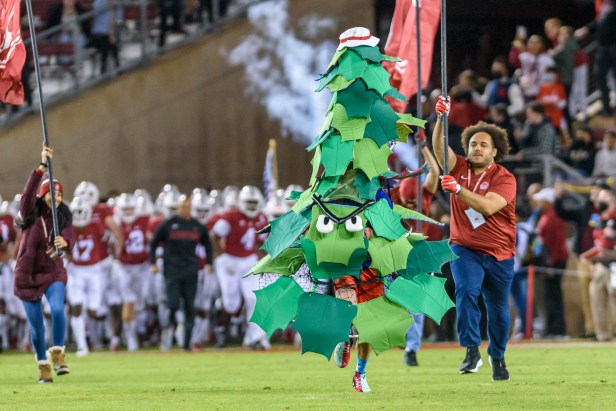 Stanford Mascot Runs onto Field