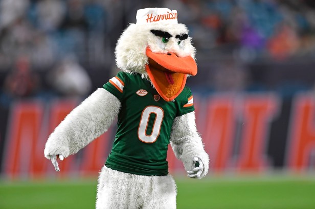 14 Funny, Crazy and Unusual College and Pro Sports Mascots – Scout Life  magazine