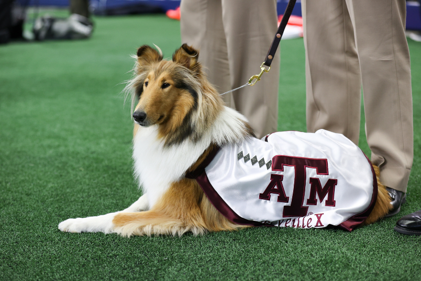 Reveille X watches the game between Texas A&M and Arkansas in 2021.