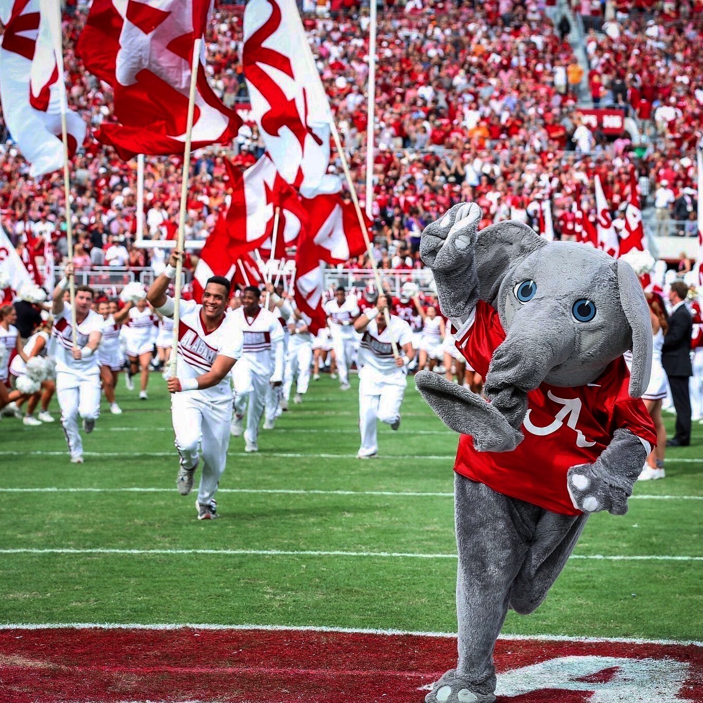 We Spoke With Big Al. Here's What Life Is Like As Alabama's Mascot 