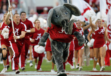 Explained: Why Alabama's Mascot is an Elephant Named Big Al