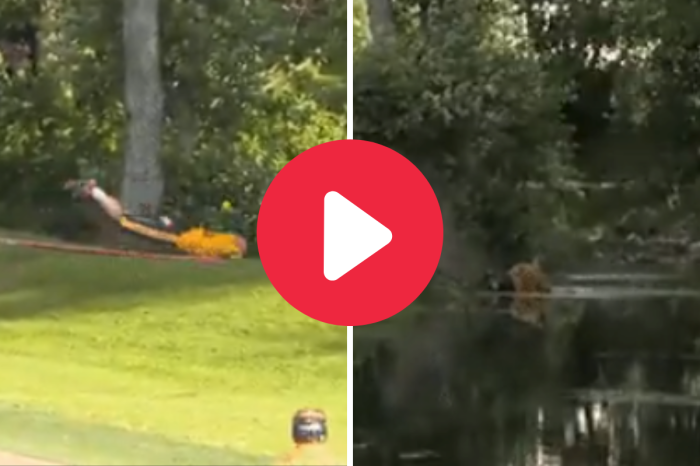 Finnish Baseball Player Dives Head First Into Right-Field River… Wait, What?
