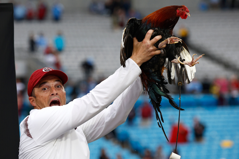 Head coach Shane Beamer of the South Carolina Gamecocks raises a rooster following his team's 38-21 victory in the Duke's Mayo Bowl