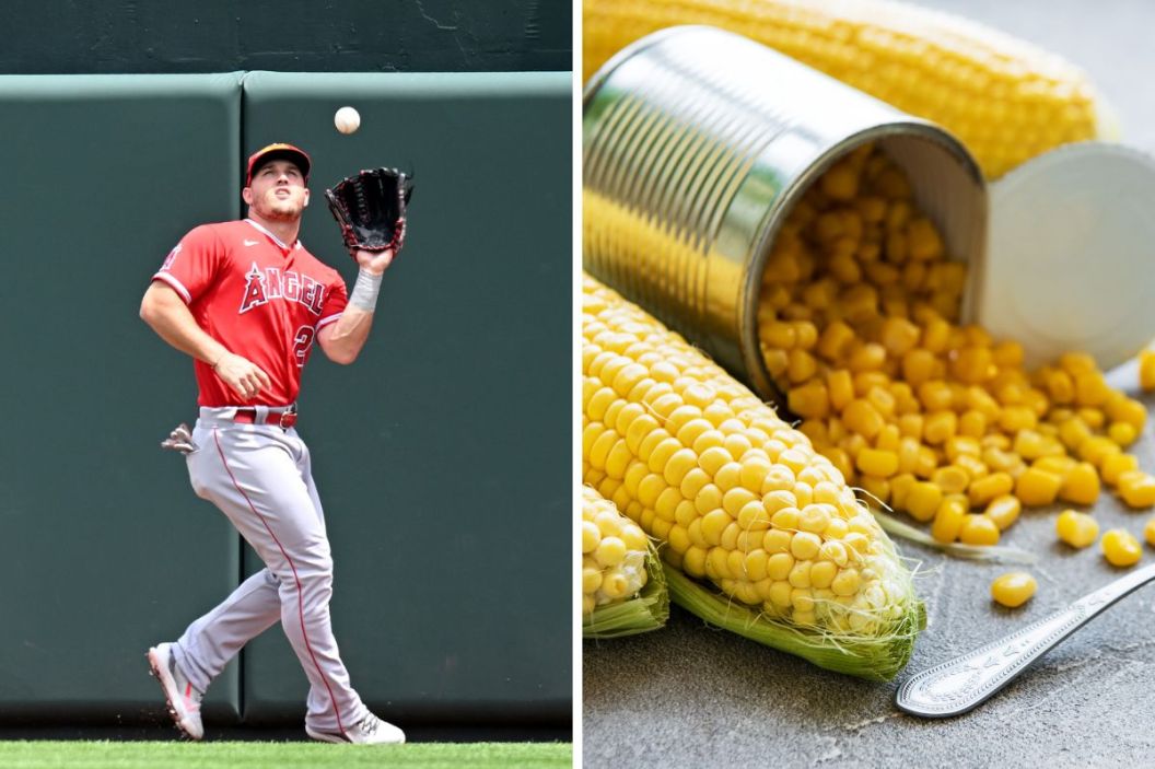 Mike Trout catches a can of corn in 2022.