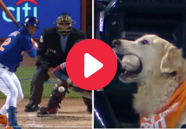 Mets Home Run Gets Scooped Up By Good Boy Who Becomes Viral Hit