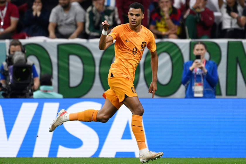Cody Gakpo of Netherlands celebrates after scoring their team's first goal during the FIFA World Cup Qatar 2022 Group A match between Netherlands and Qatar at Al Bayt Stadium