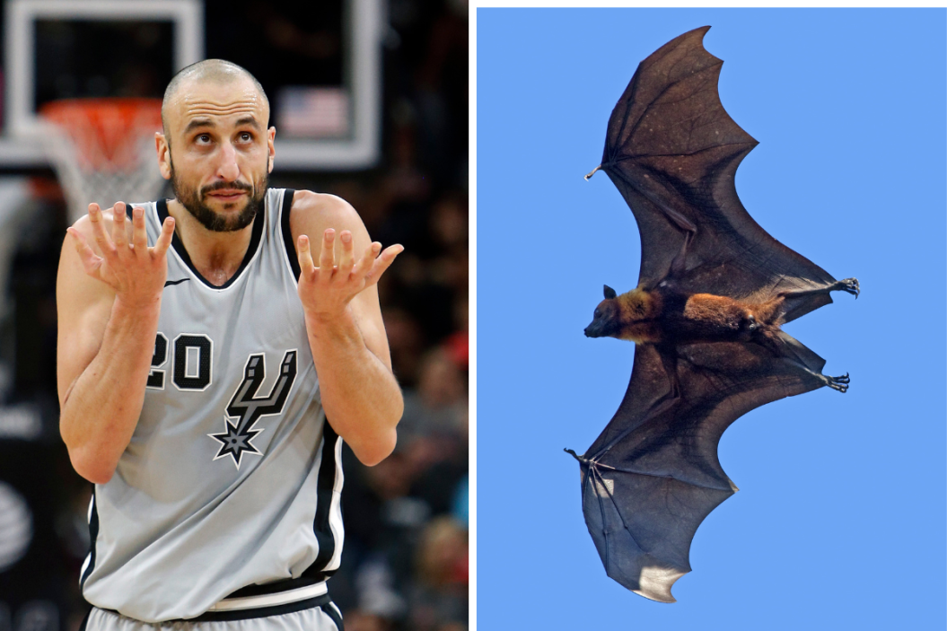 Manu Ginobli, a big piece of the San Antonio Spurs Dynasty, once swatted a bat out of midair during an NBA game.