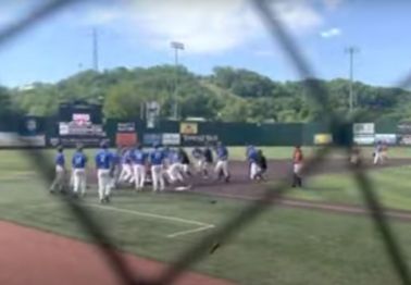 Bench-Clearing Brawl in High School Baseball Game Ends Season for Both Teams