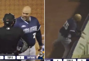 Minor League Coach Jumps Wall After Ejection in Wild Scene
