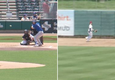 Home Run or Catch? Controversial Play in Minor Leagues Leaves Fans Confused