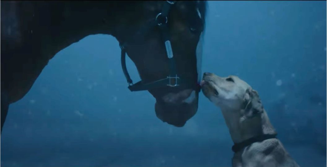 A dog kisses a horse in Budweiser's new Super Bowl commercial.