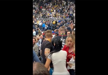 Video: Brother Of Nikola Jokic Punches Fan During Nuggets' Comeback Win Over Lakers