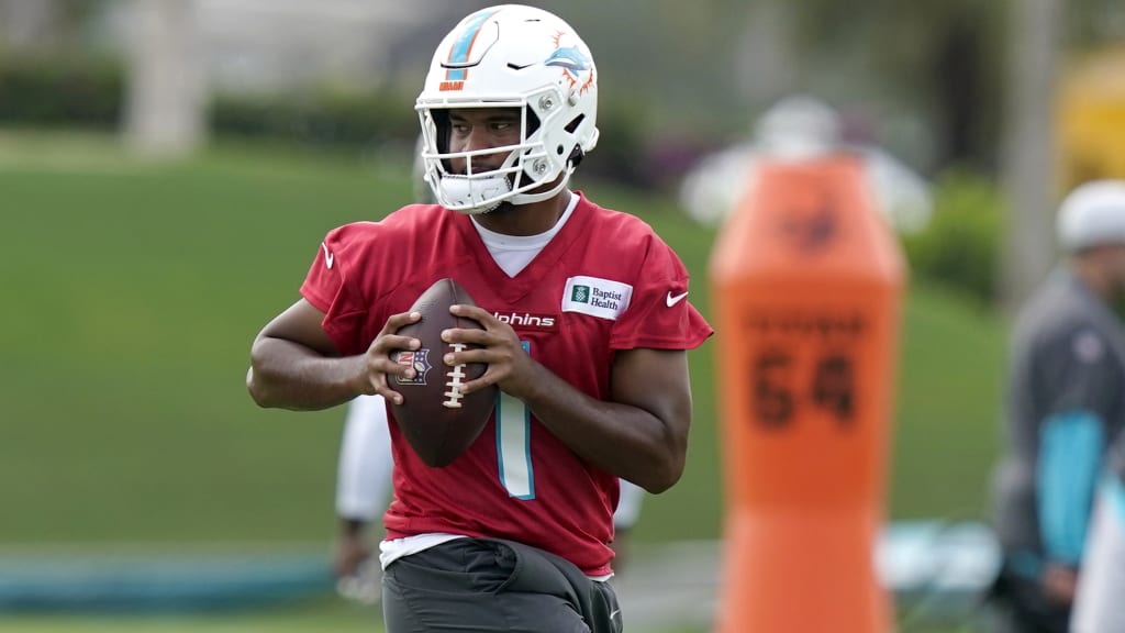 Tyler Huntley, Dolphins, NFL