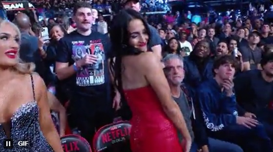 Nikki Bella, WWE