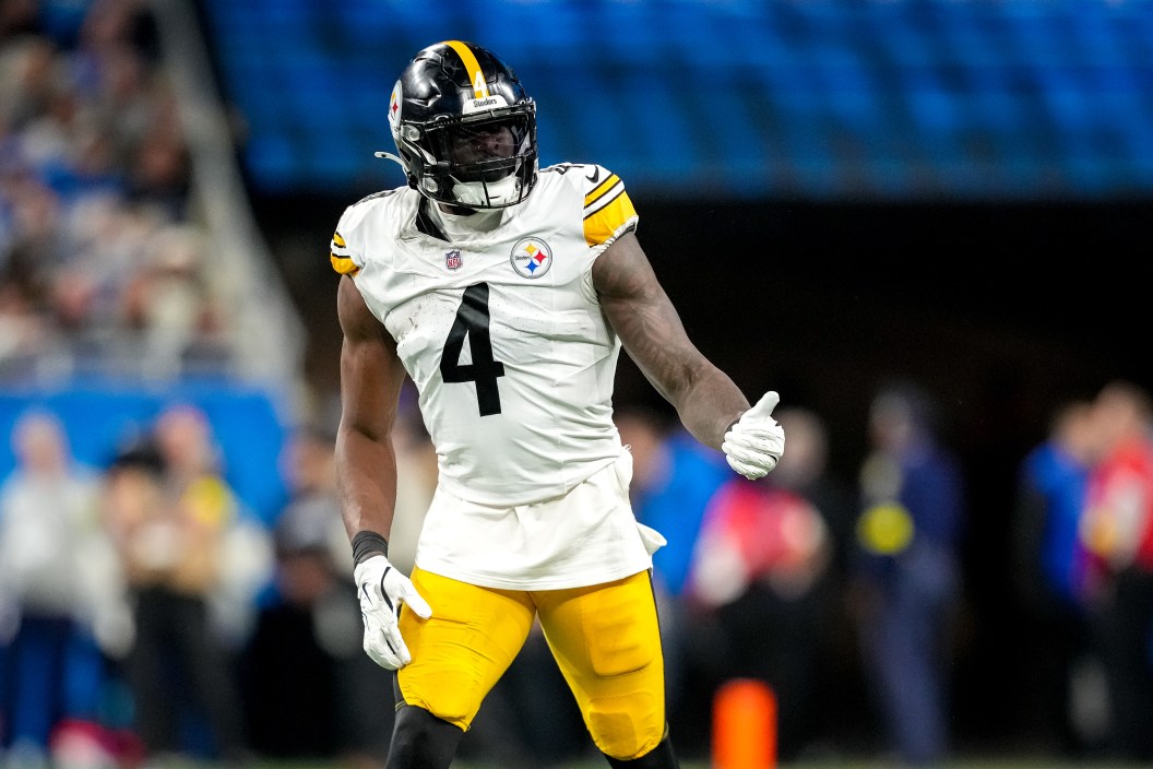DK Metcalf, Pittsburgh Steelers, NFL