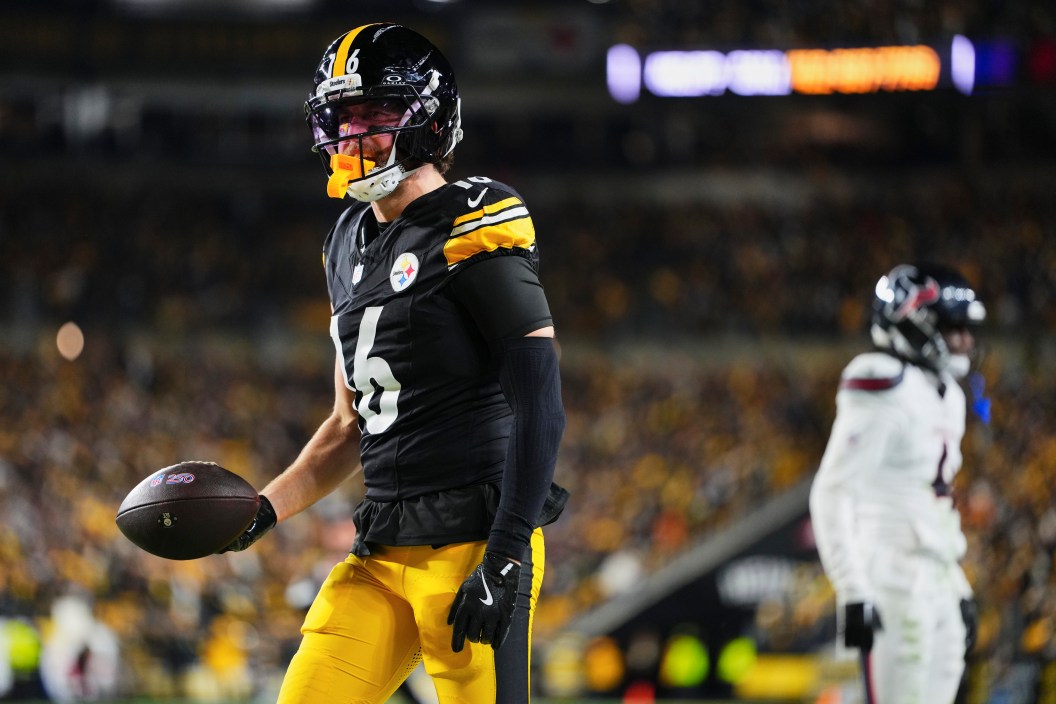 Adam Thielen, Steelers, NFL