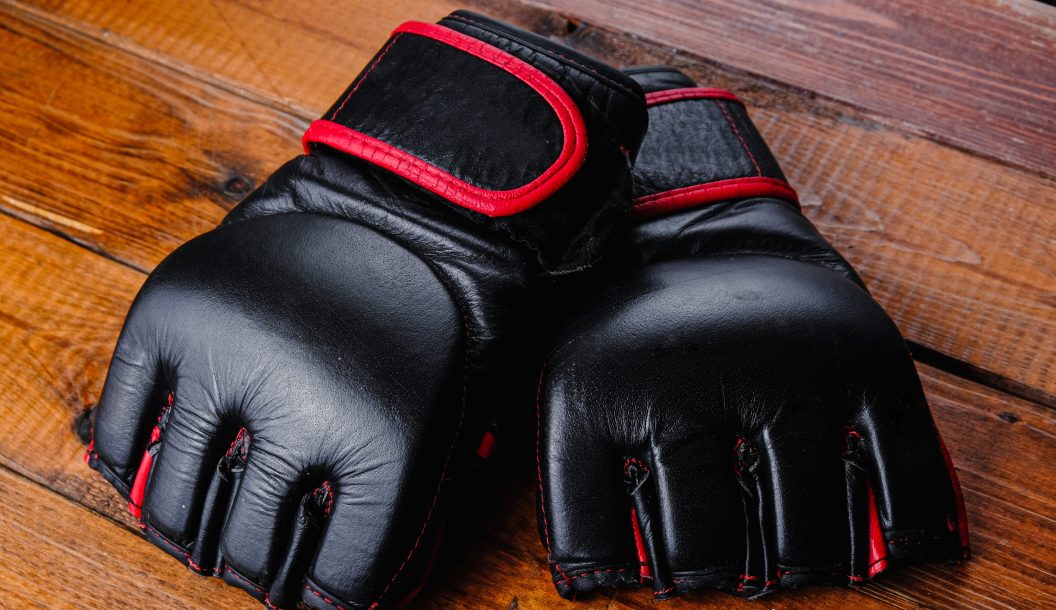 MMA golves