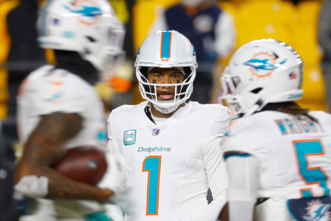 Tua Tagovailoa, Dolphins NFL
