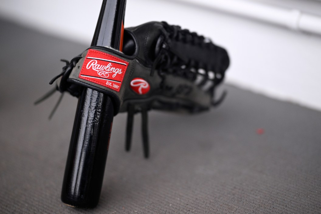 Baseball glove, bat