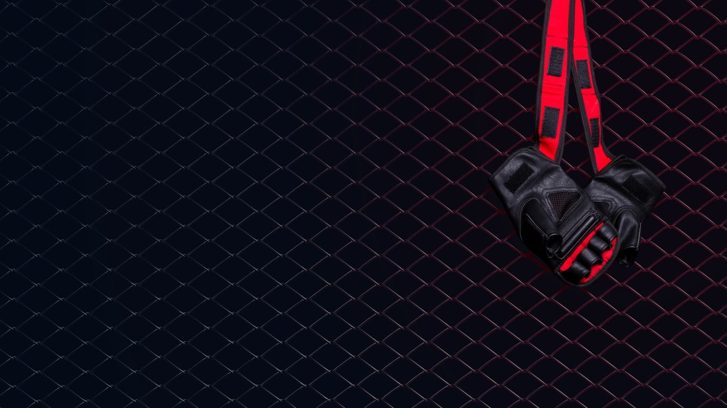 MMA gloves, Medet Zheenaliev