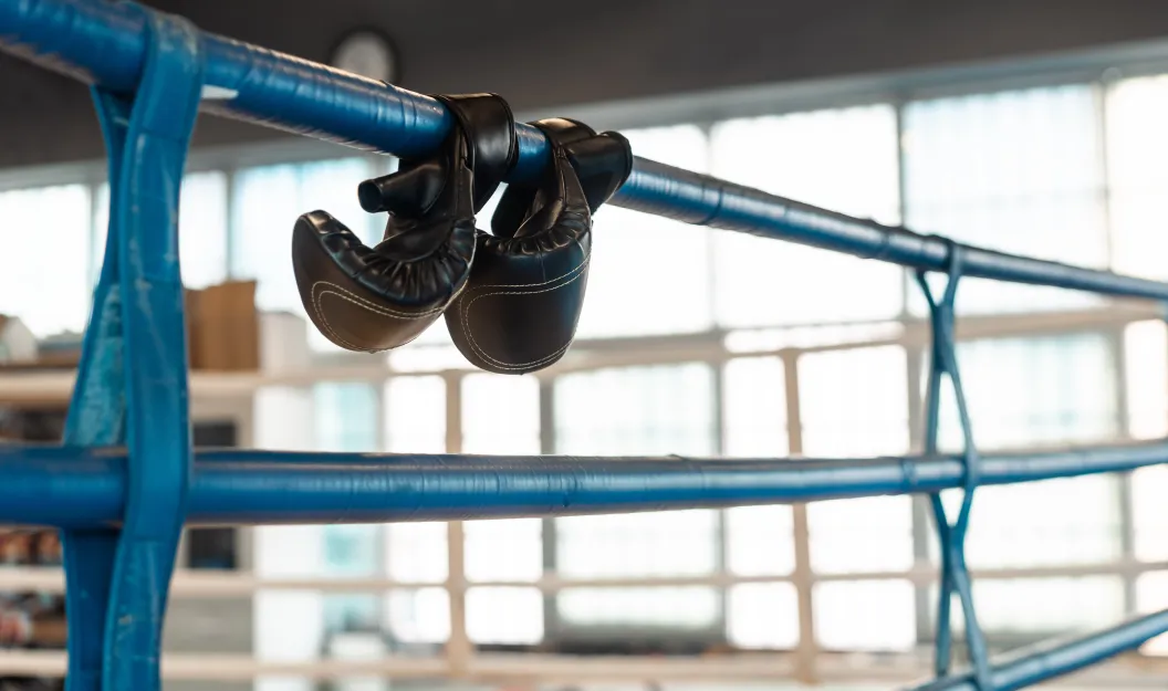 Boxing, gloves, warrant