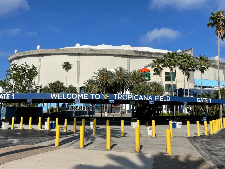Tropicana Field, fans