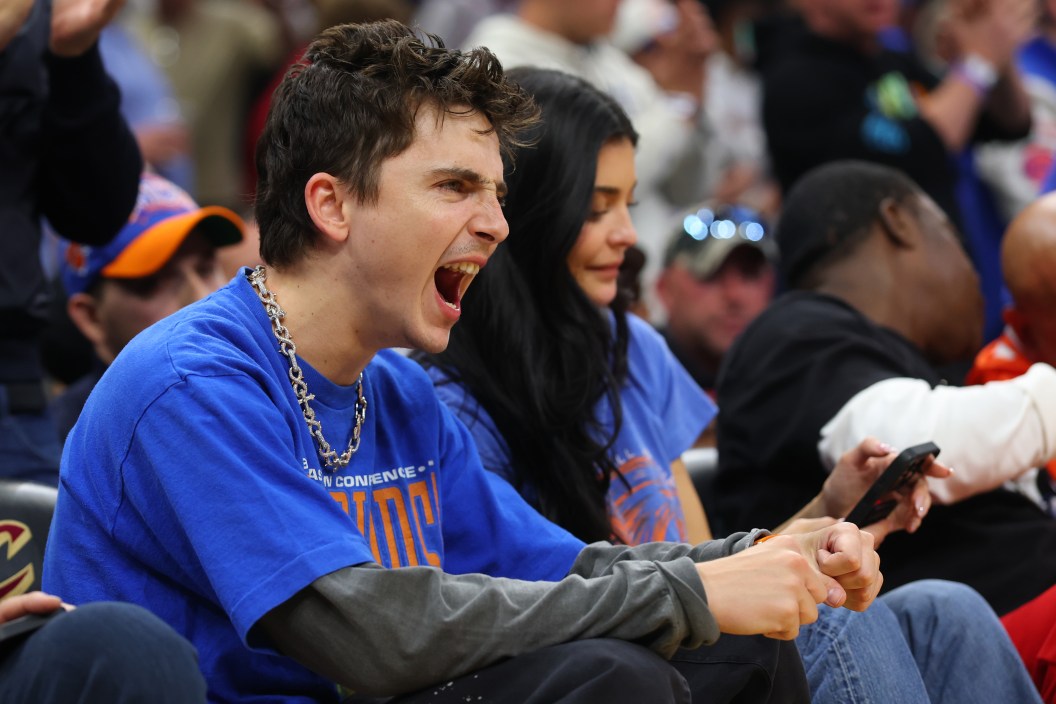Timothee Chalamet, Knicks, NBA,