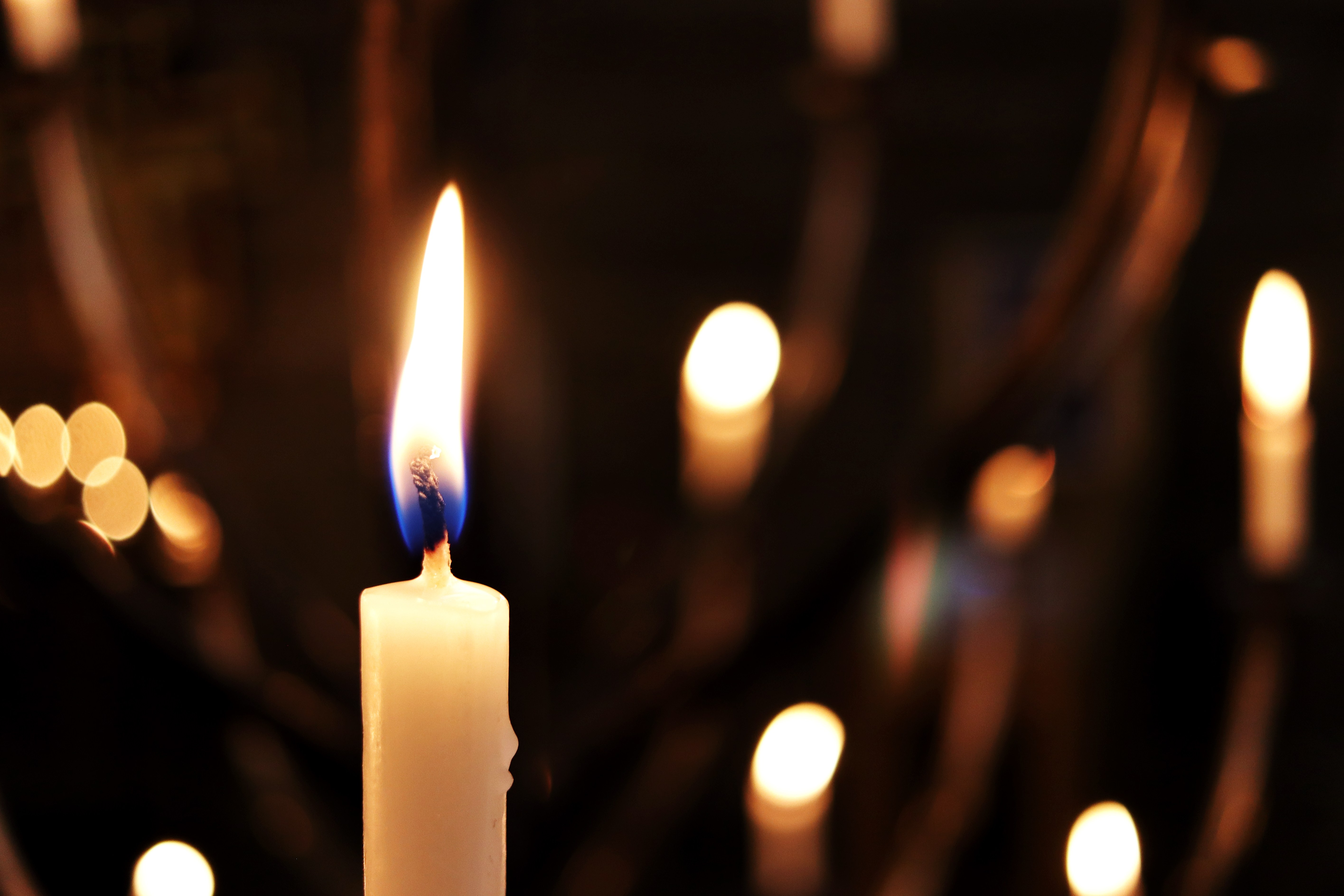 Dylan Rizzo Sports Entrepreneur Dies of Cardiac Arrest: Company Confirms Dylan ...