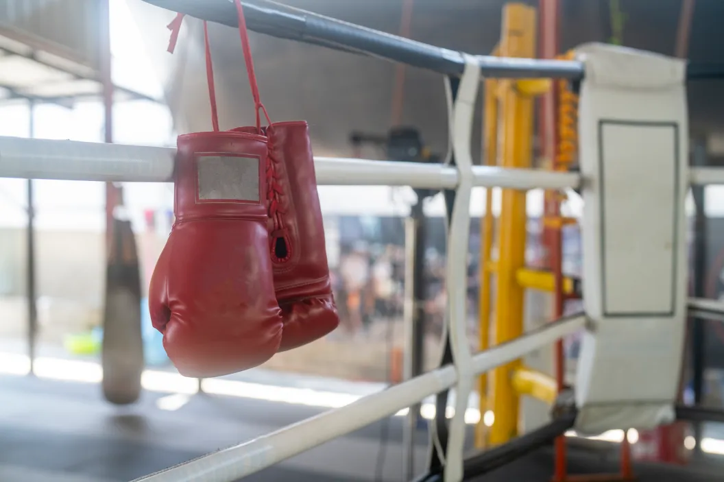 Boxing gloves, Lightning Lampkin