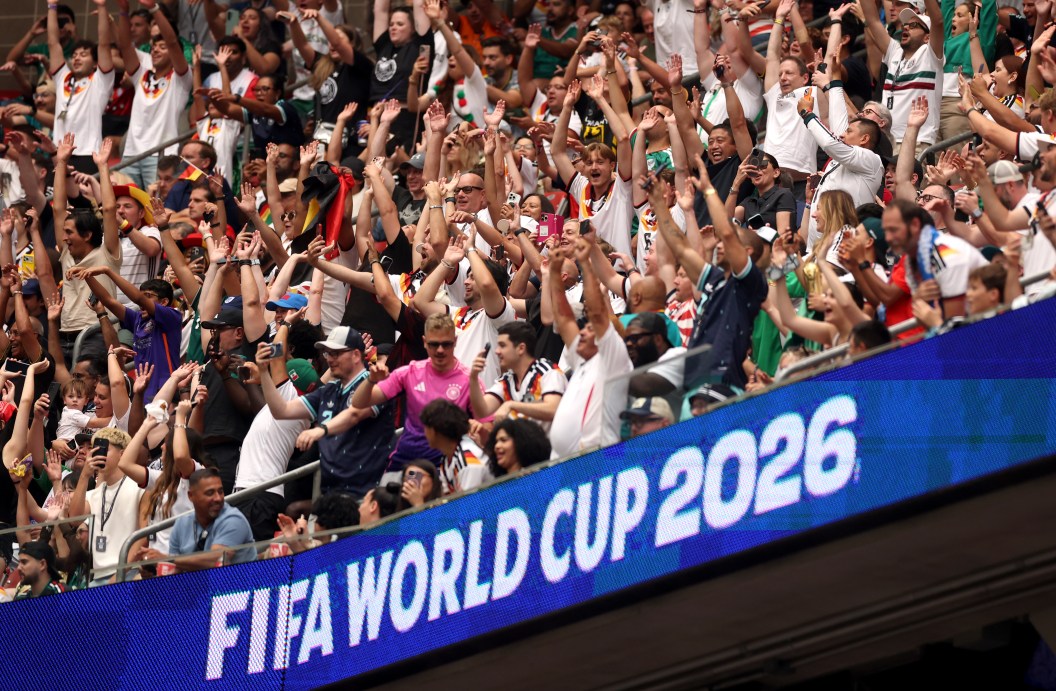 FIFA World Cup fans