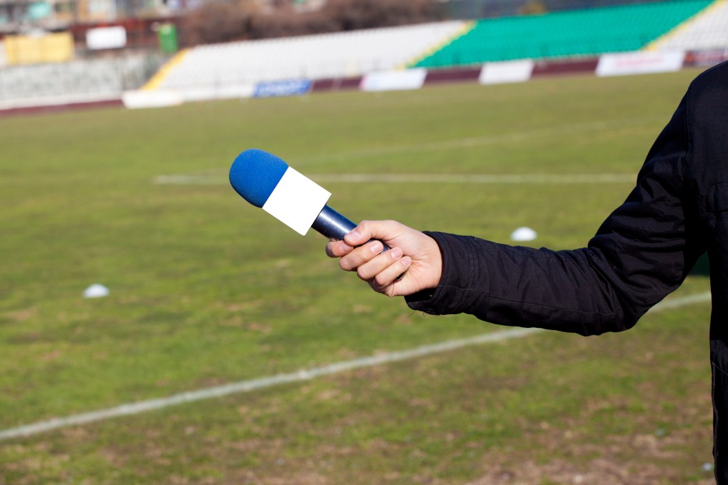 Sideline reporter