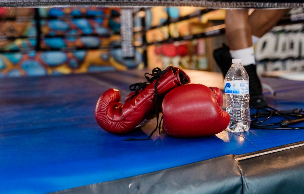 Boxing gloves, fighter