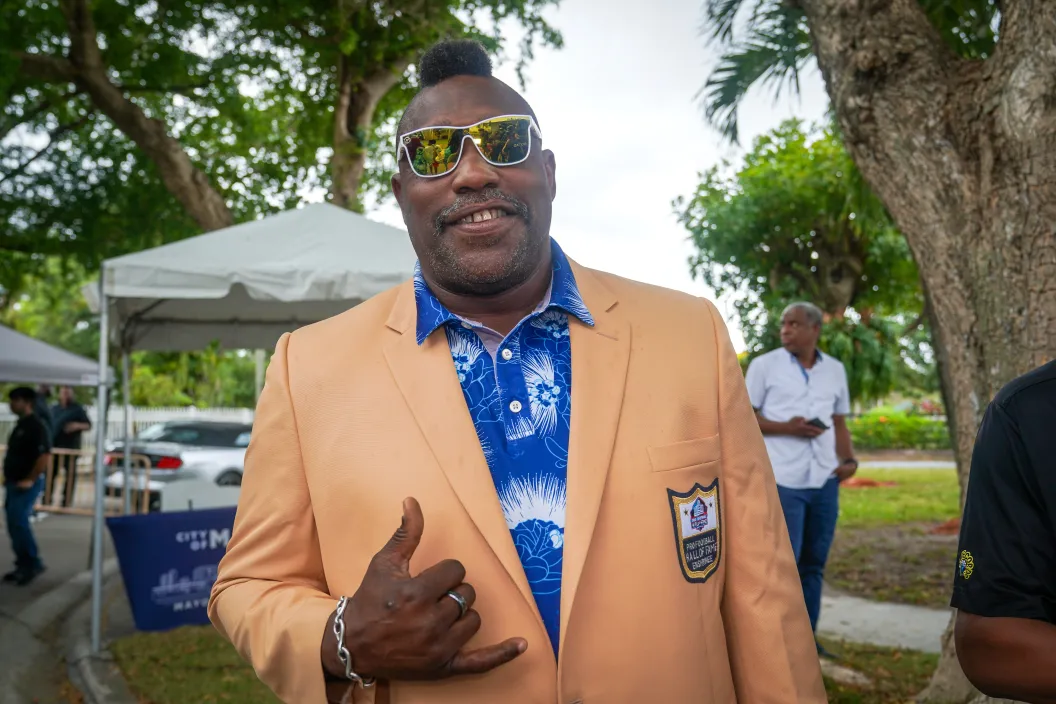 Warren Sapp, NFL