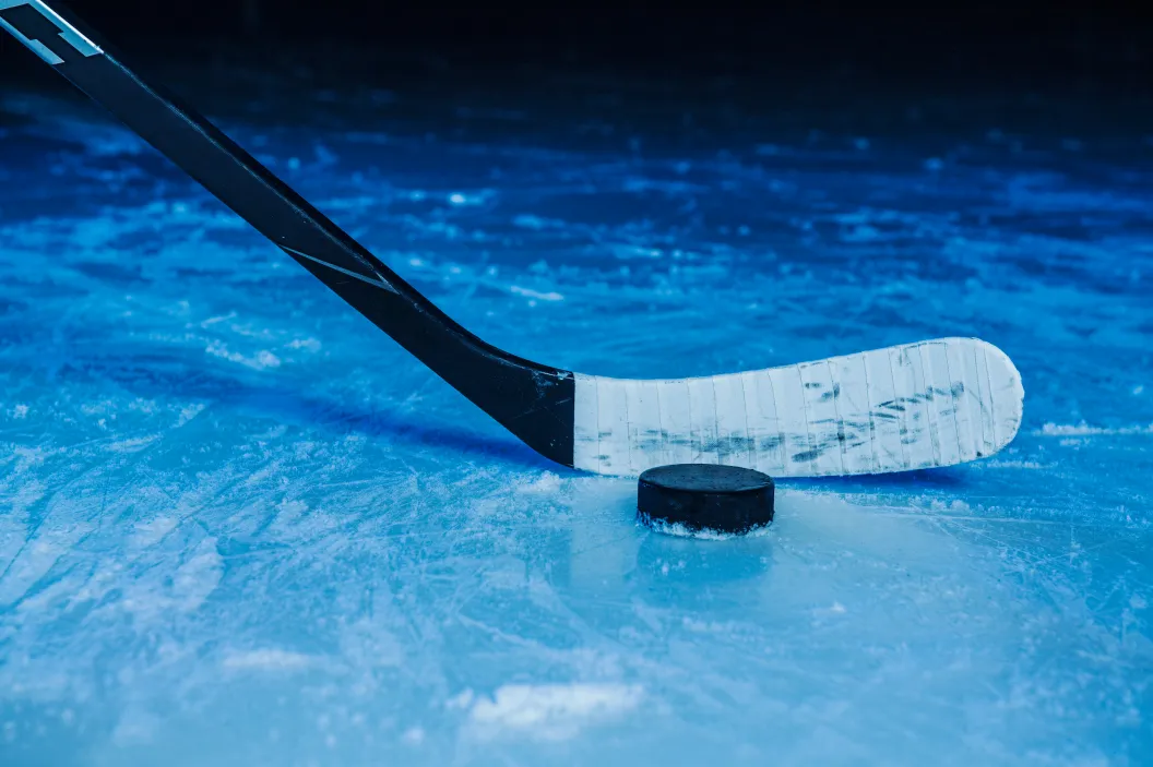 Hockey stick and puck