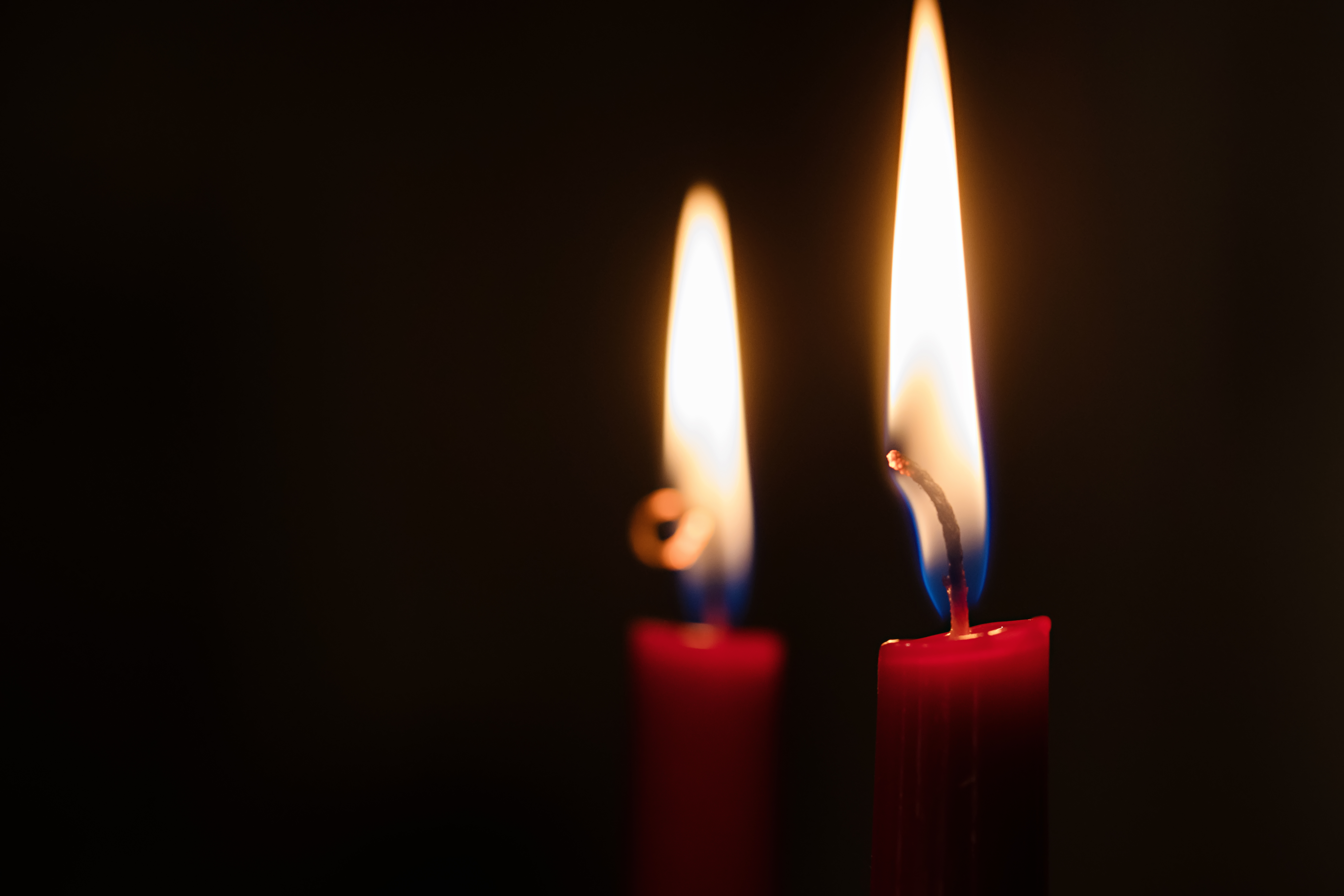 Vigil, bowling, Jakob Butturff