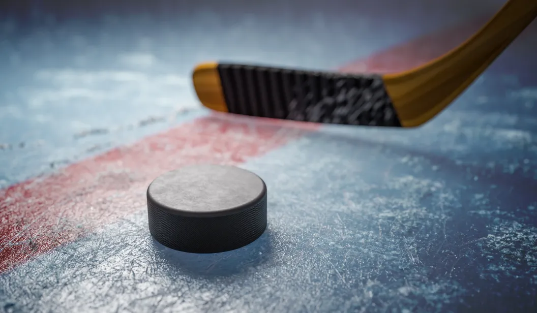 Hockey puck, stick, Korytkowski
