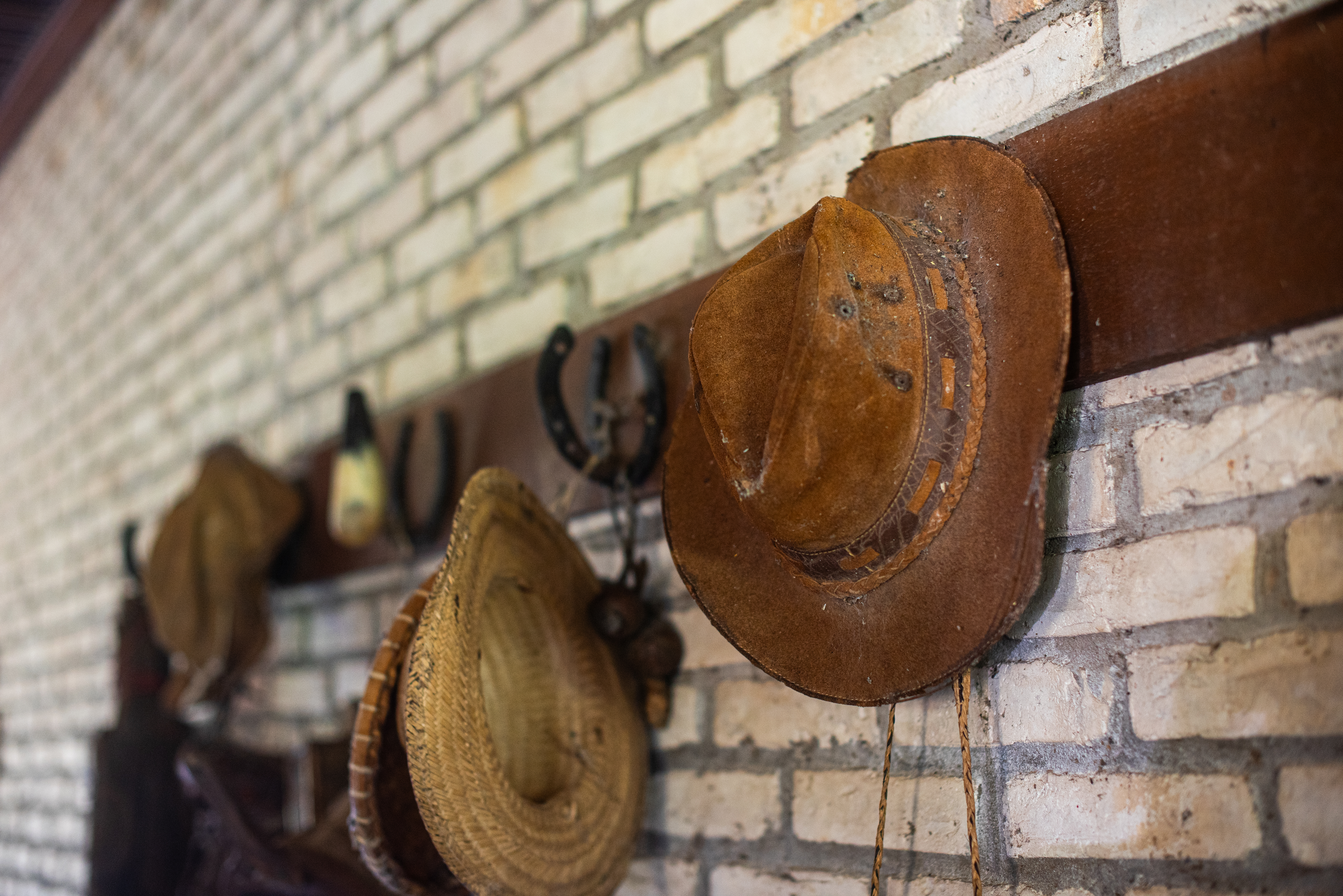 Rodeo, cowboy hats