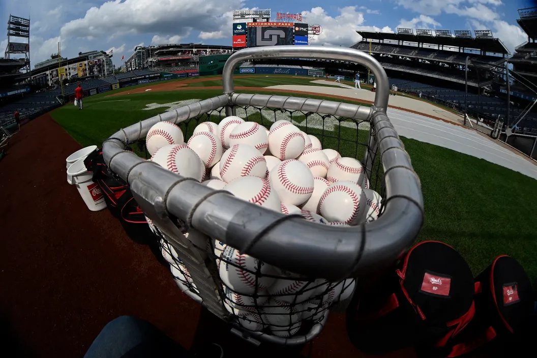 Baseballs, fan, arrest