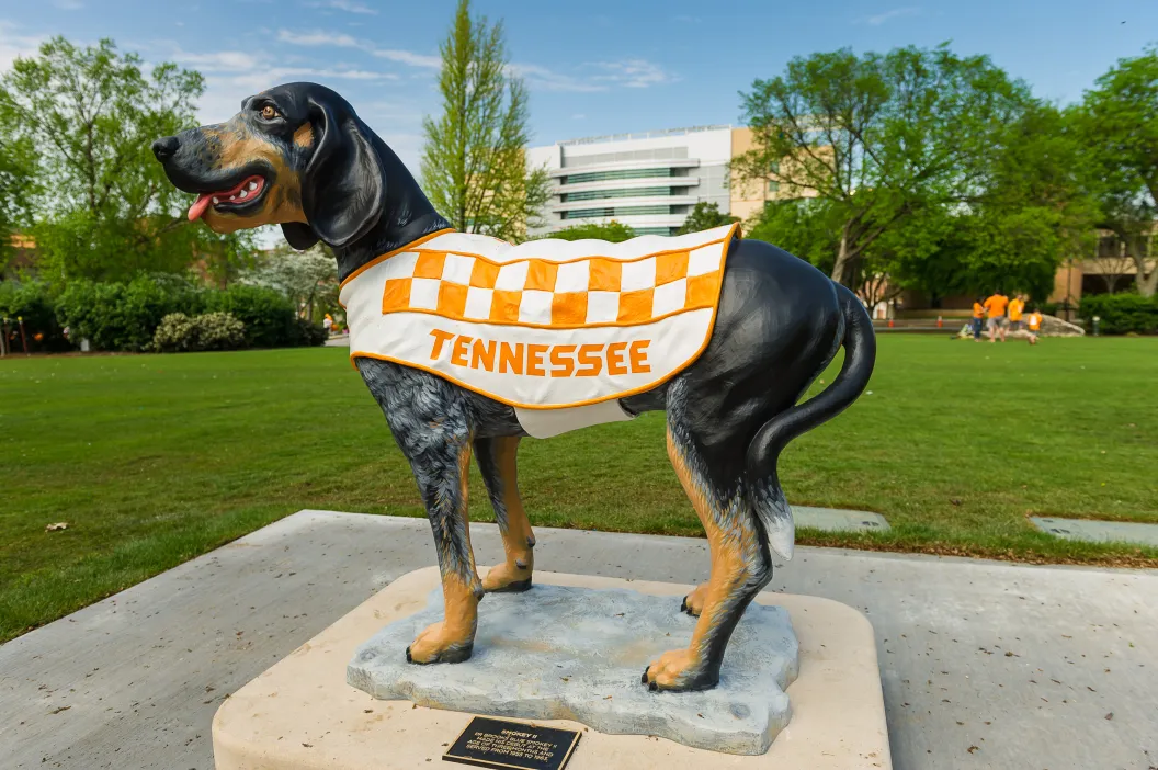 Statue, Smokey I, Tennessee