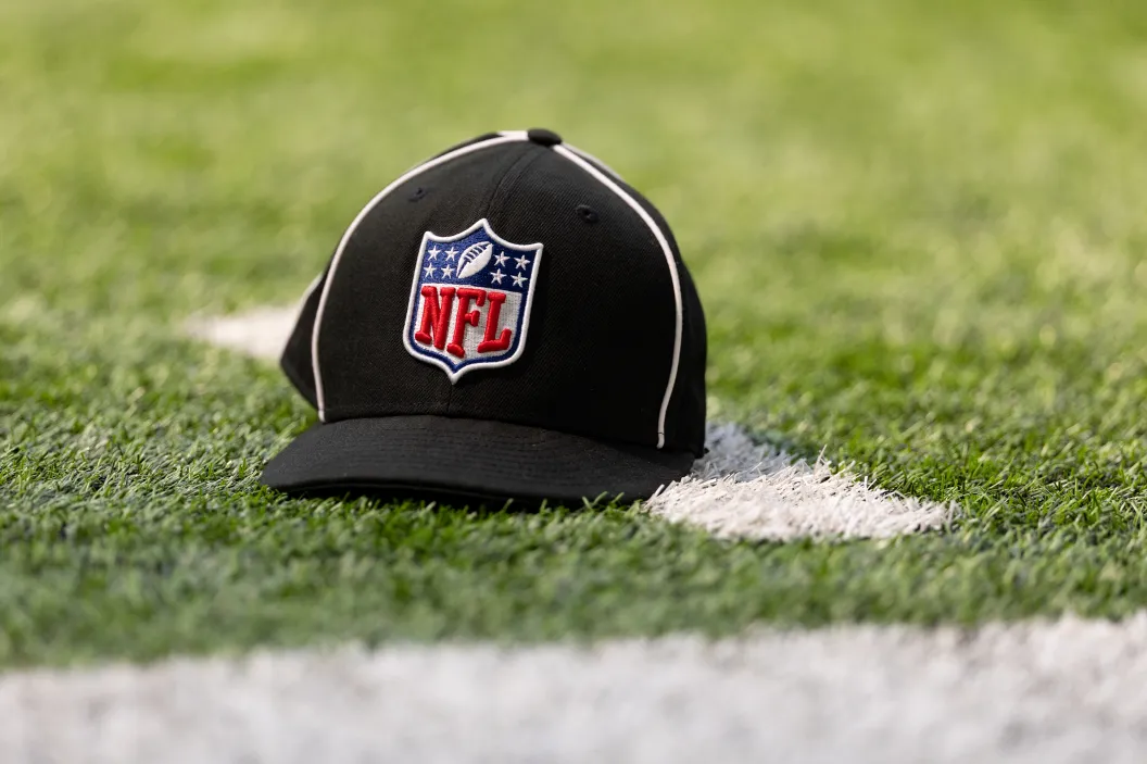 Vikings, ref, NFL