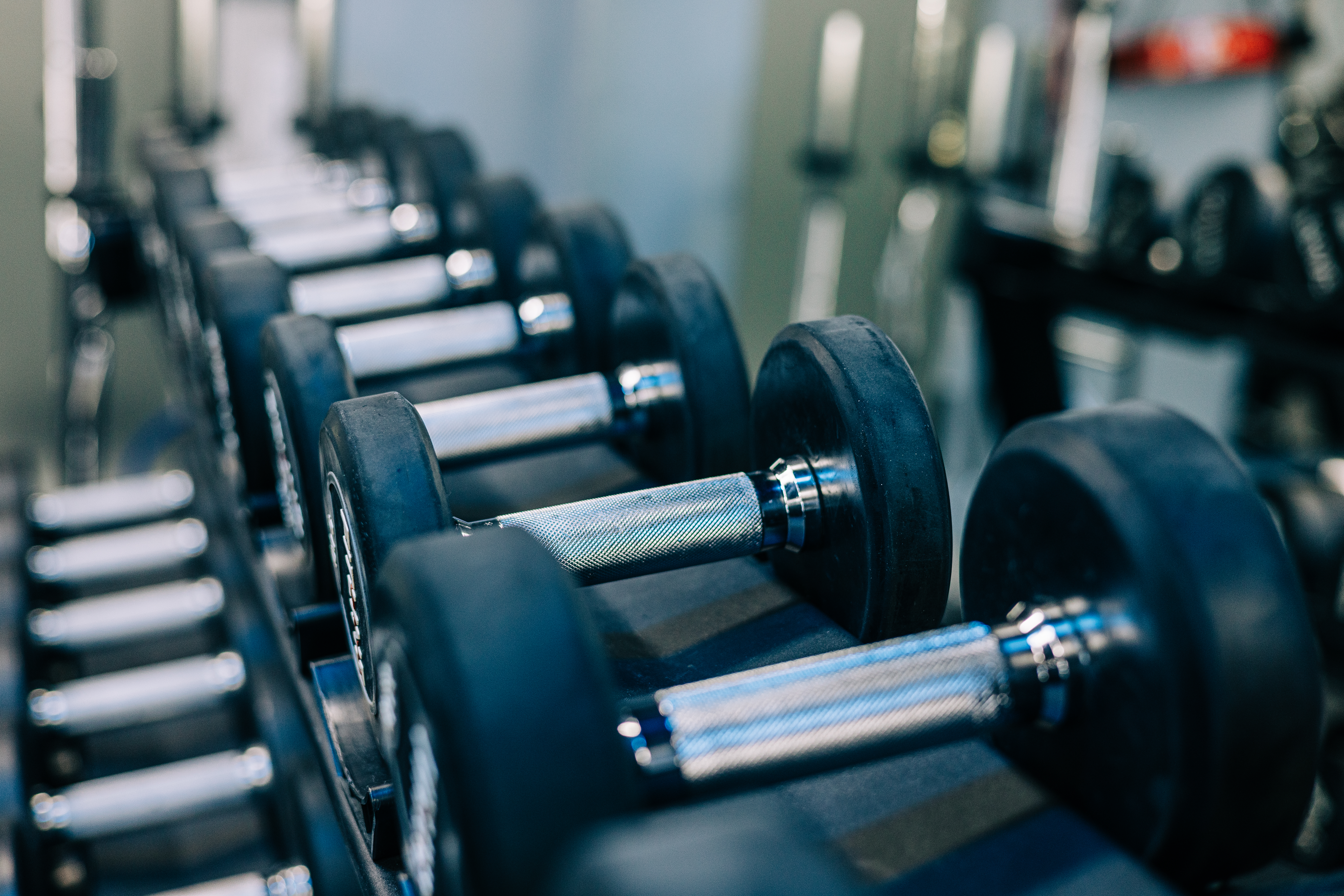 Weights, bodybuilding