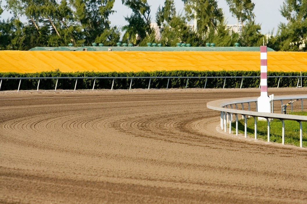 Horse racing track